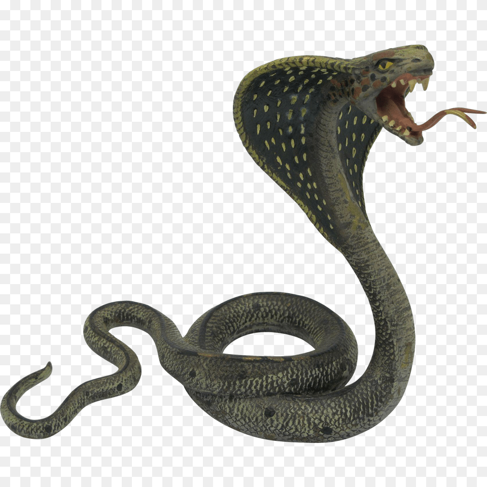 Cobra, Animal, Reptile, Snake Free Png