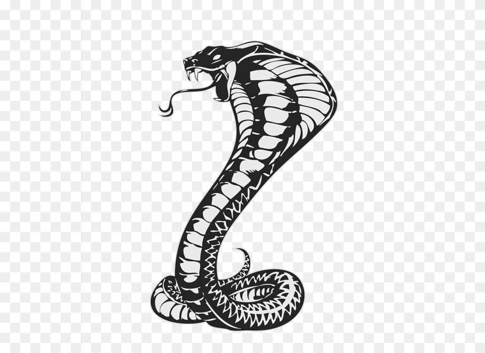 Cobra, Animal, Reptile, Snake Free Transparent Png