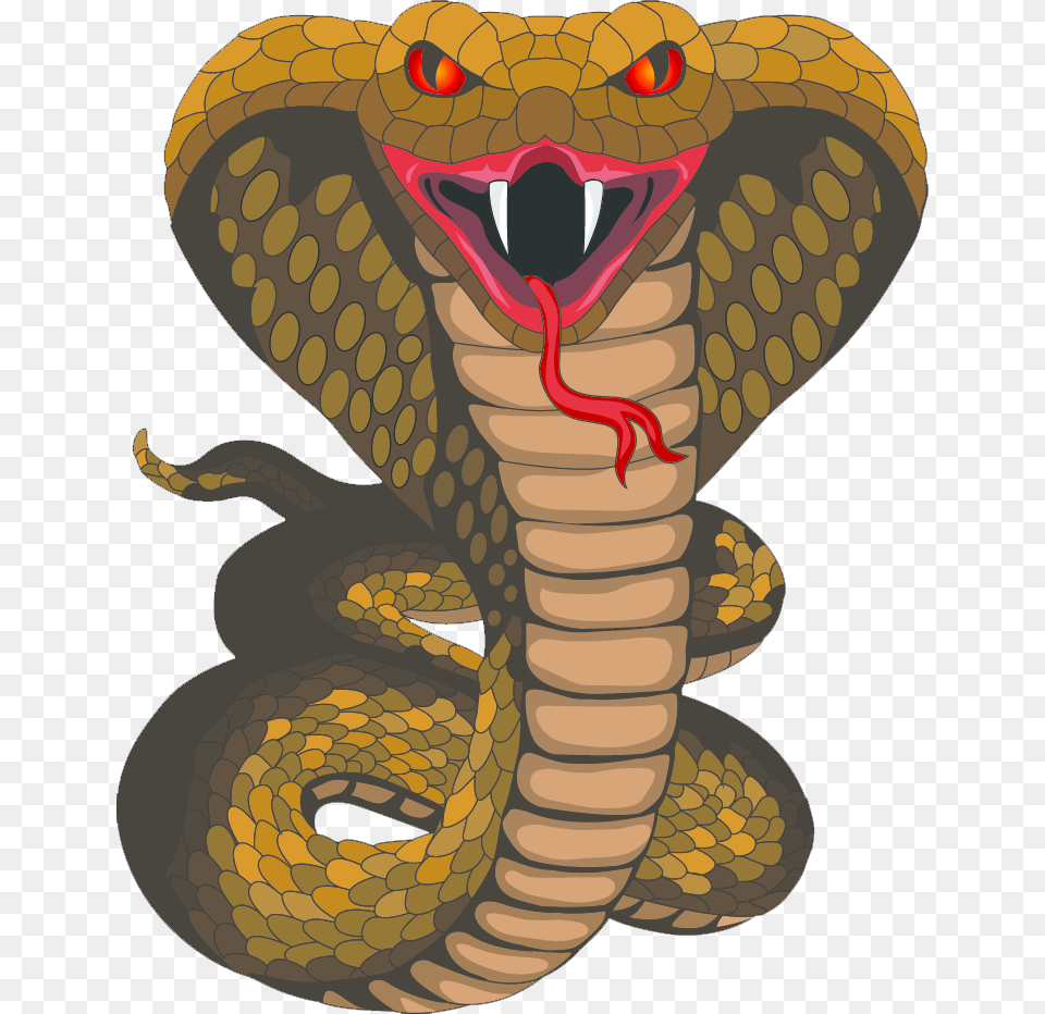 Cobra, Animal, Reptile, Snake Free Png
