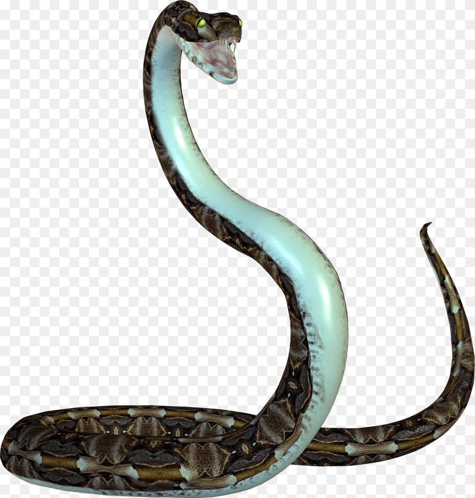 Cobra, Animal, Reptile, Snake Png Image