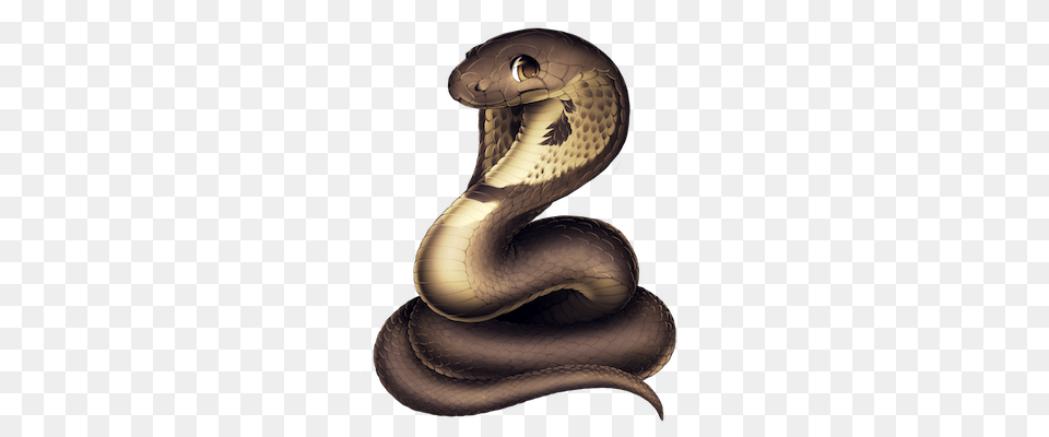 Cobra, Animal, Reptile, Snake Png