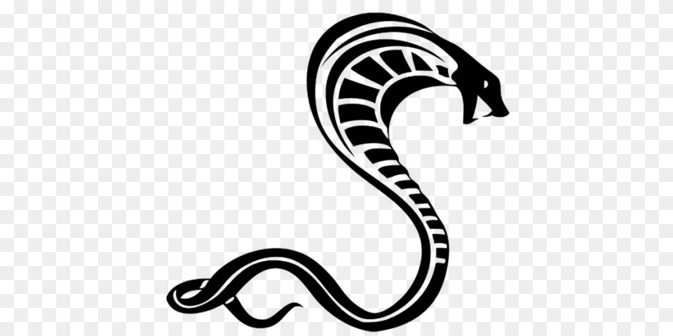 Cobra, Animal, Reptile, Snake Png