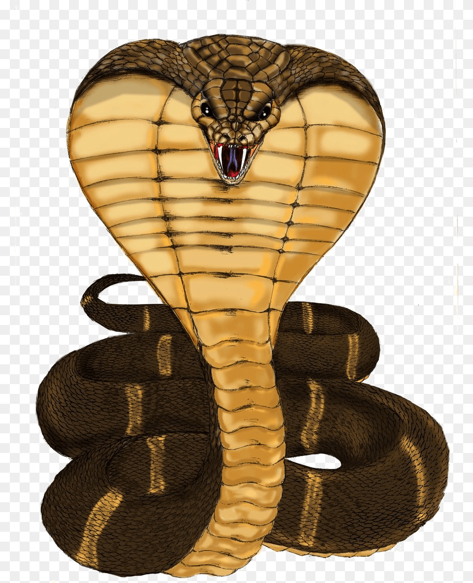 Cobra, Animal, Reptile, Snake, Sea Life Free Png