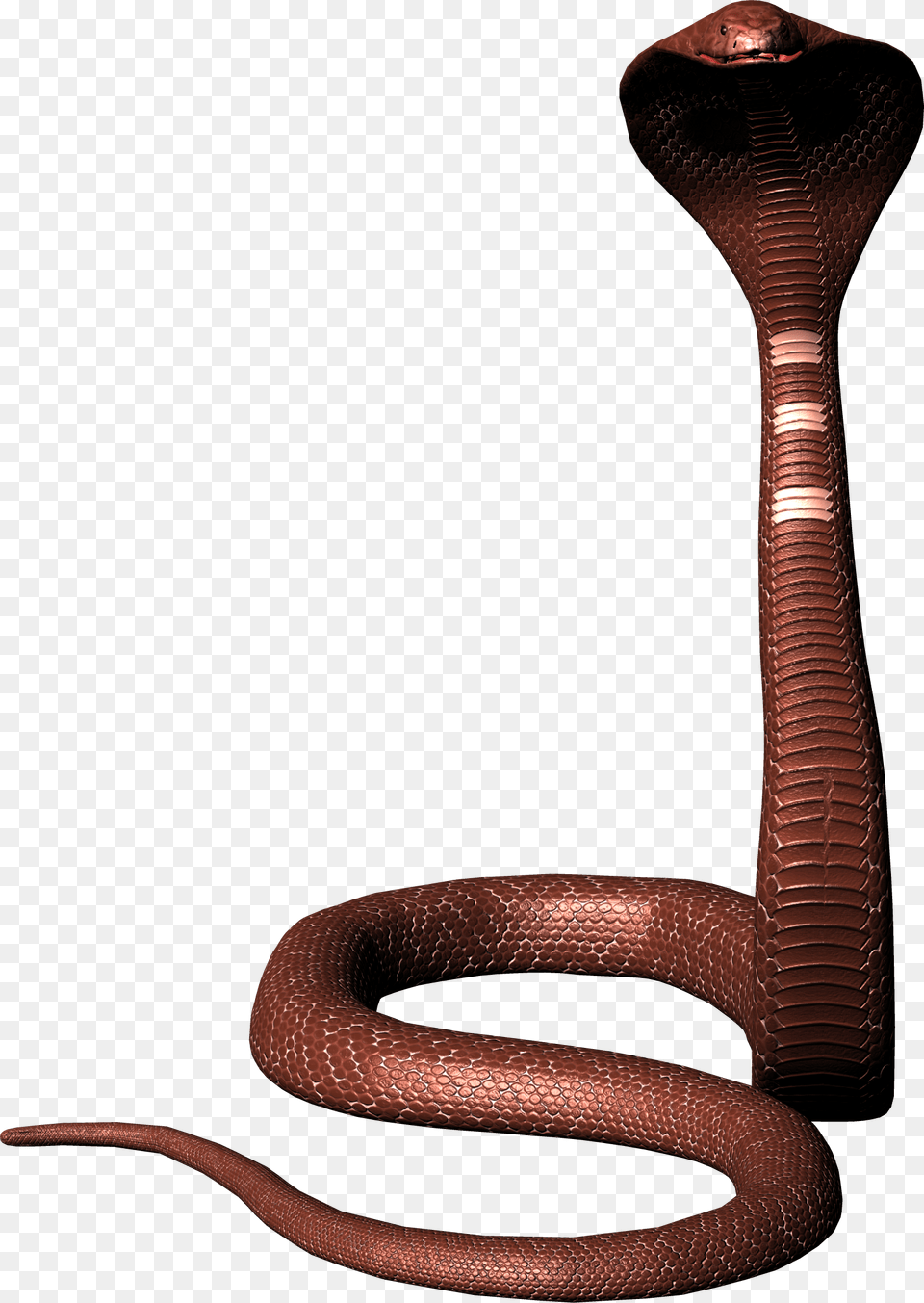 Cobra, Animal, Reptile, Snake Png Image