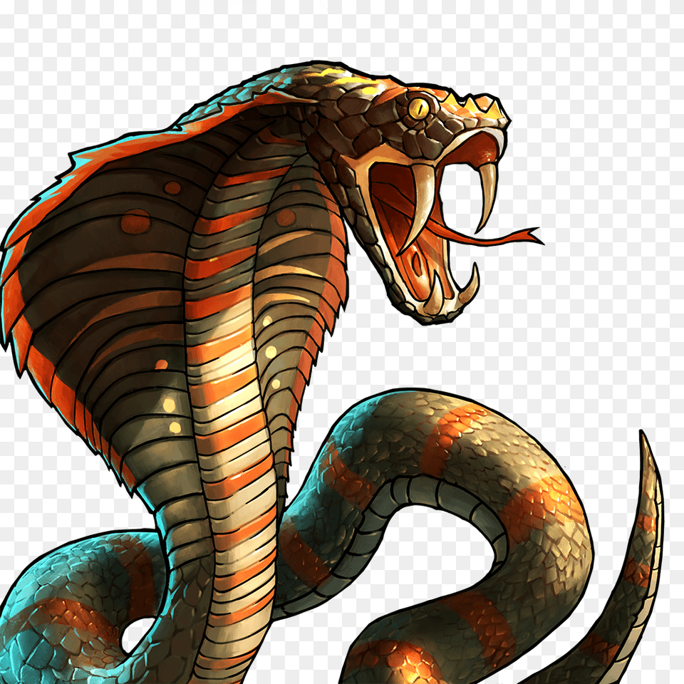 Cobra, Animal, Reptile, Snake, Face Free Png Download