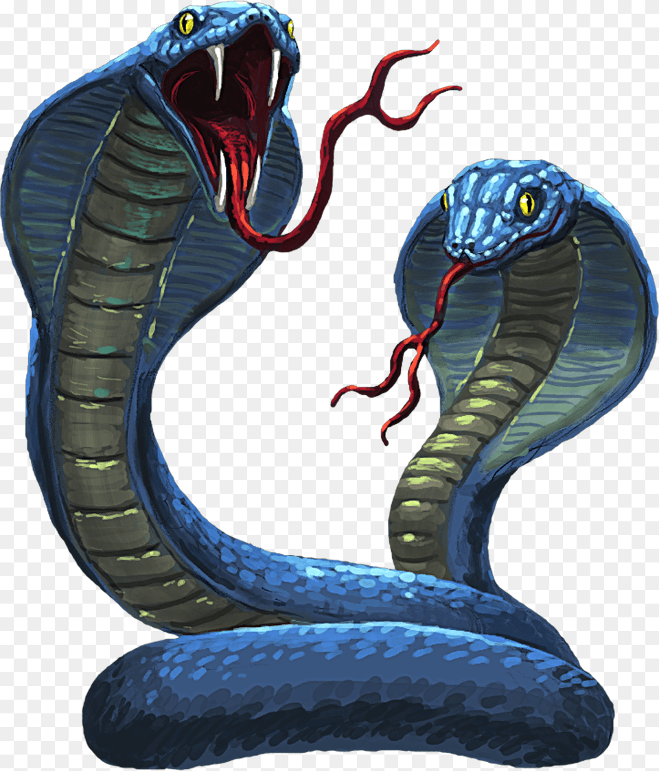 Cobra, Animal, Reptile, Snake Free Transparent Png