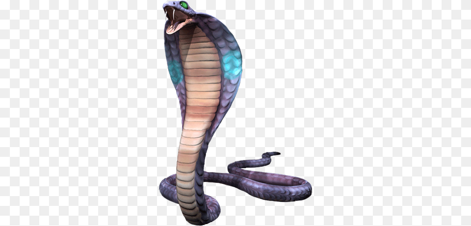Cobra, Animal, Reptile, Snake Free Transparent Png