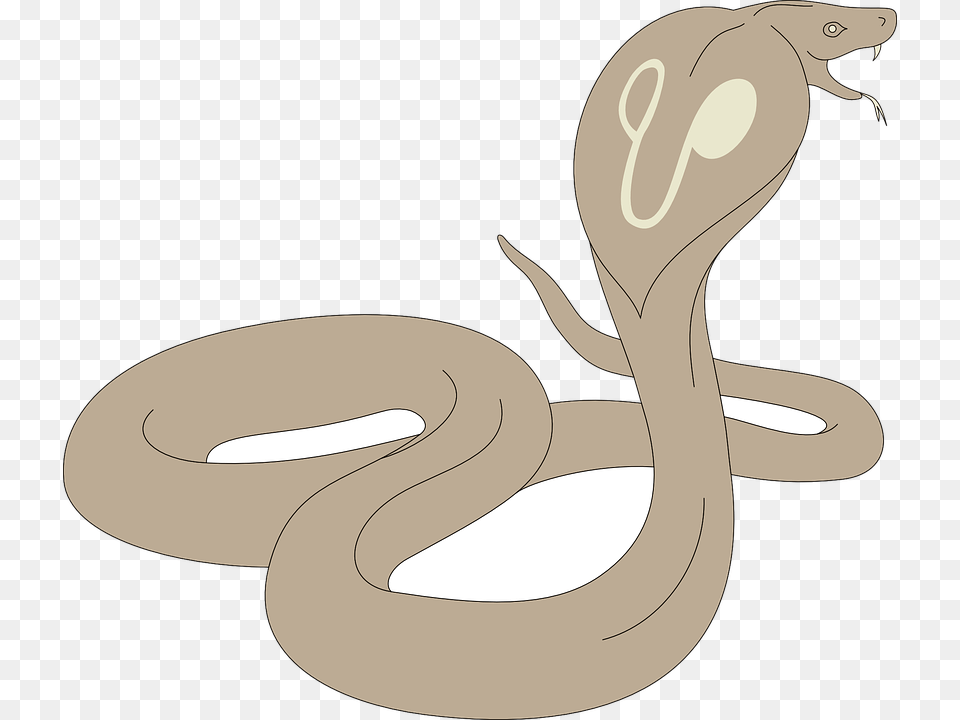 Cobra, Animal, Reptile, Snake Png Image