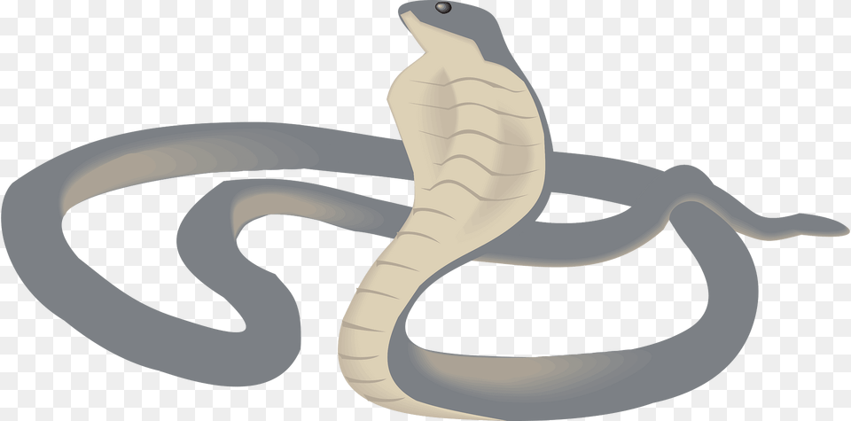 Cobra Clipart, Animal, Reptile, Snake, Fish Free Png Download