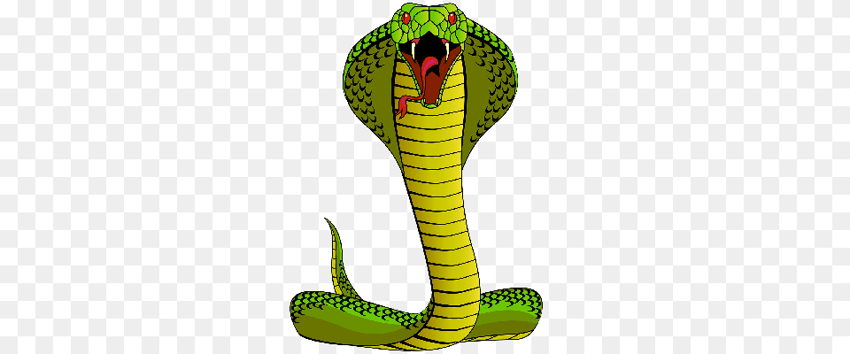 Cobra Cliparts, Animal, Reptile, Snake Png