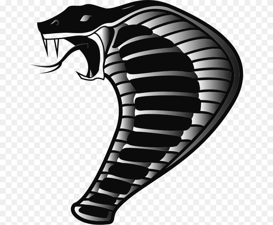 Cobra Cobra Clipart, Animal, Mammal, Baby, Person Png