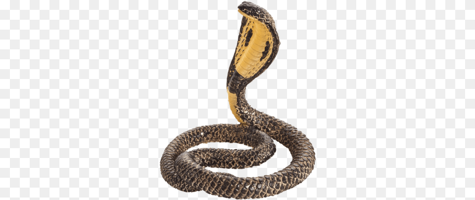 Cobra Cobra Toys, Animal, Reptile, Snake Png Image