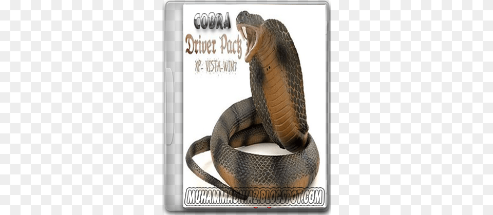 Cobra Driver Pack 2012 Download Full Version Cobra Driver Pack 2010, Animal, Reptile, Snake Free Transparent Png