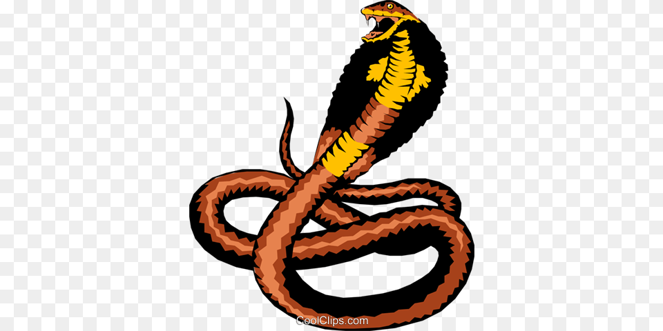 Cobra Royalty Free Vector Clip Art Illustration, Animal, Reptile, Snake Png
