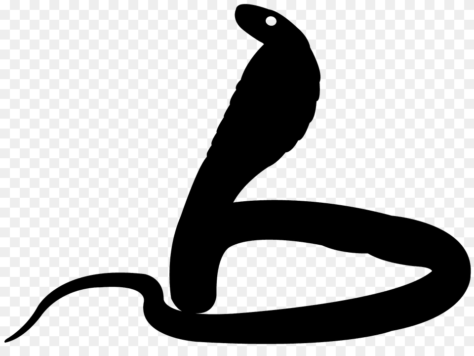 Cobra Silhouette, Animal, Reptile, Snake, Fish Png