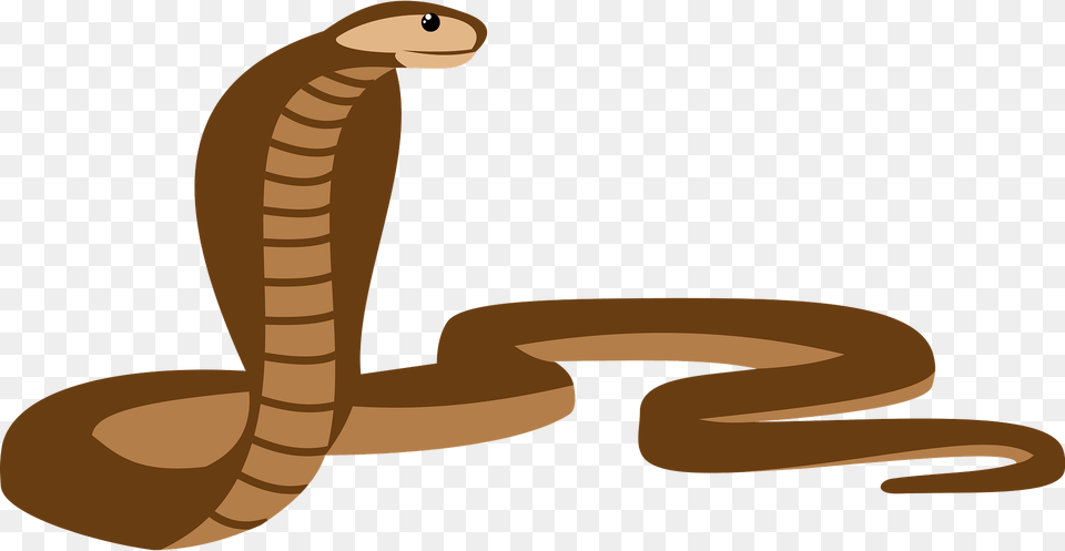 Cobra Snake Clipart, Animal, Reptile Png Image