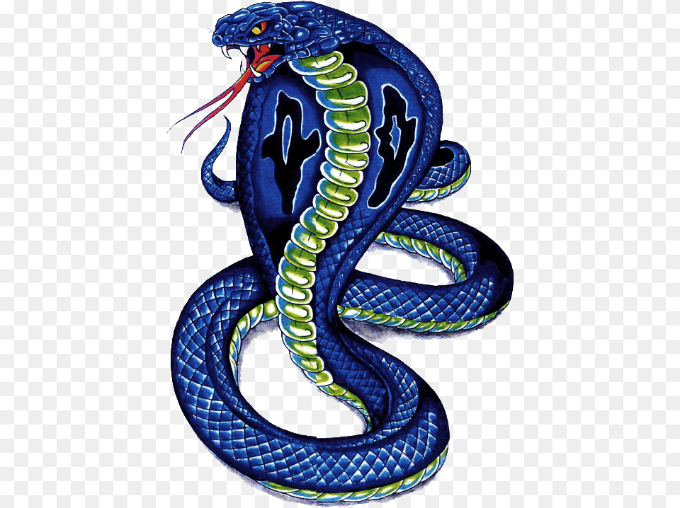 Cobra Snake Images Download Snake Drawing Color Tattoo, Animal, Reptile Free Transparent Png