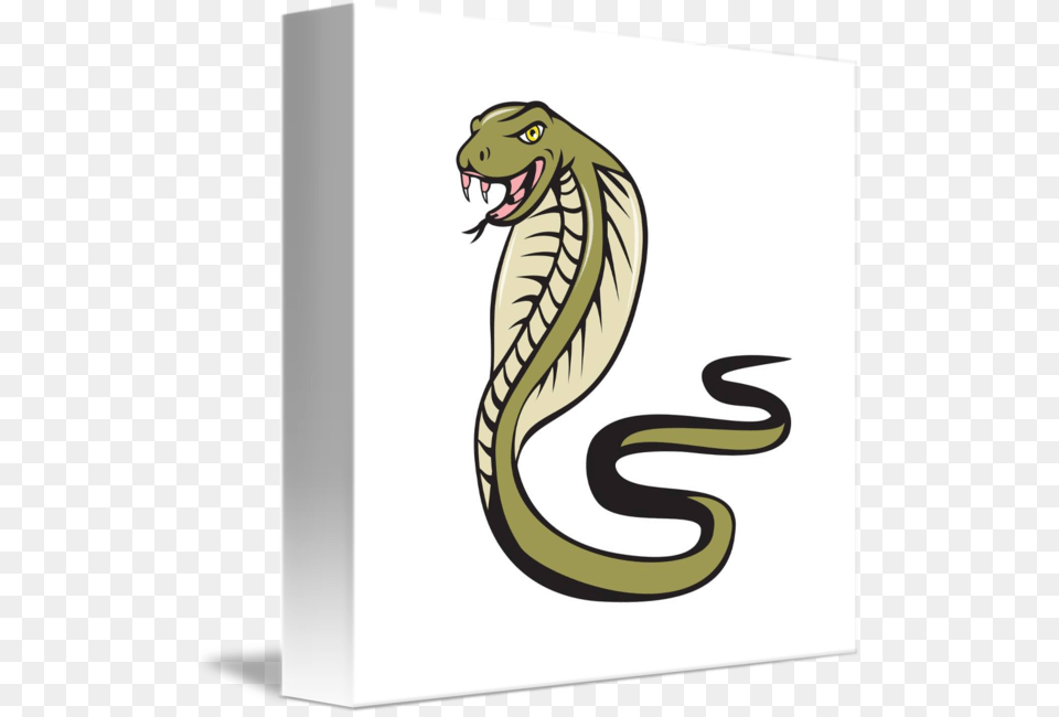 Cobra Viper Snake Attacking Cartoon, Animal, Reptile Free Png Download