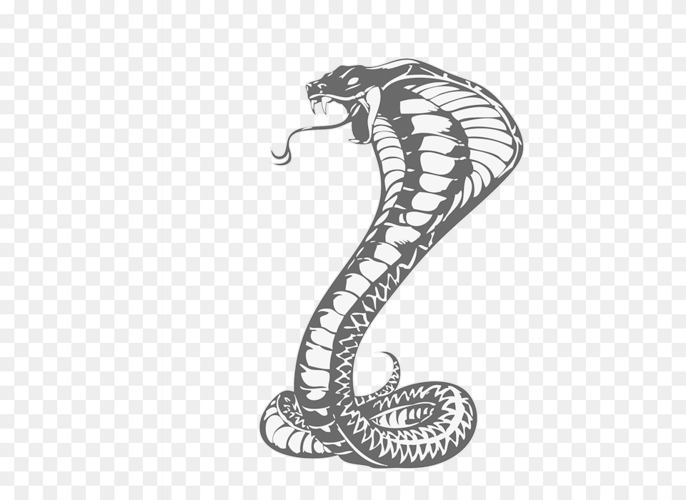 Cobras King Cobra Snakes Tattoo Snake Drawing Clipart Khon Kaen United Fc, Animal, Reptile Free Transparent Png