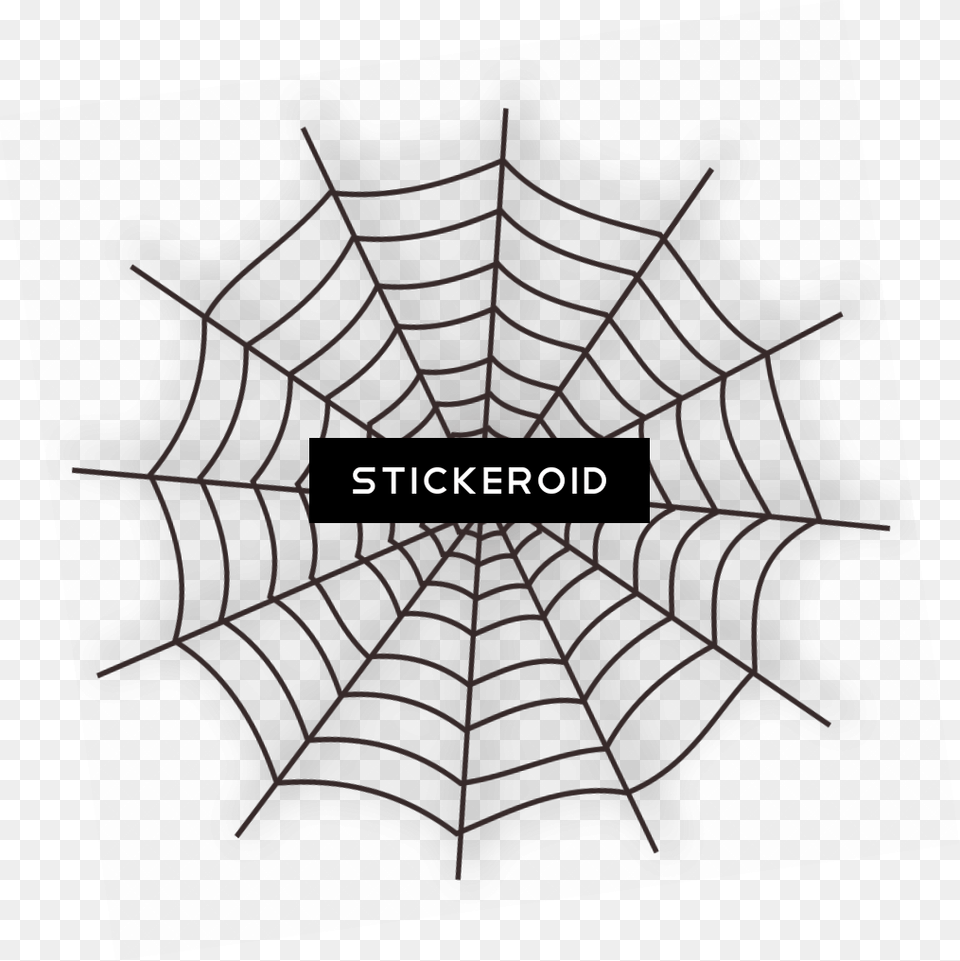 Cobweb, Spider Web Png