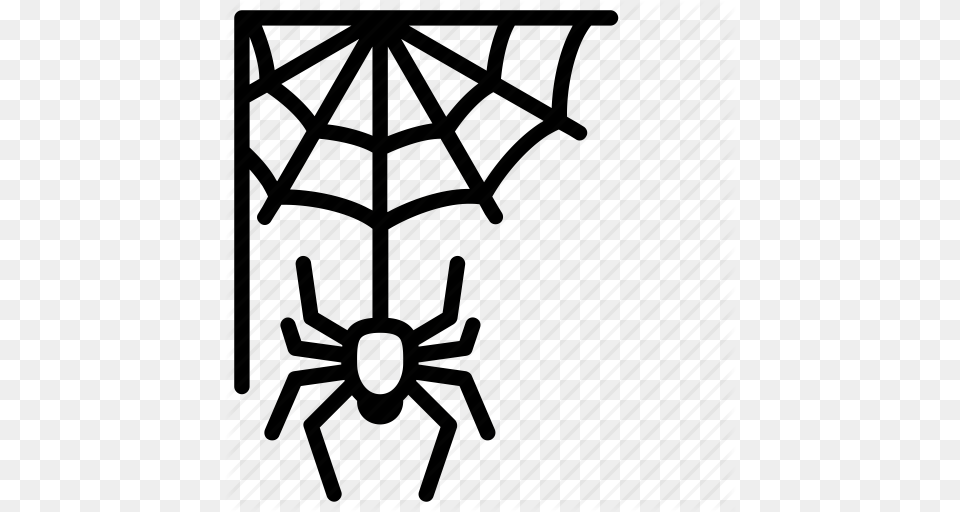 Cobweb Halloween Insect Spider Spiderweb Trick Or Treat Web Icon Free Png Download