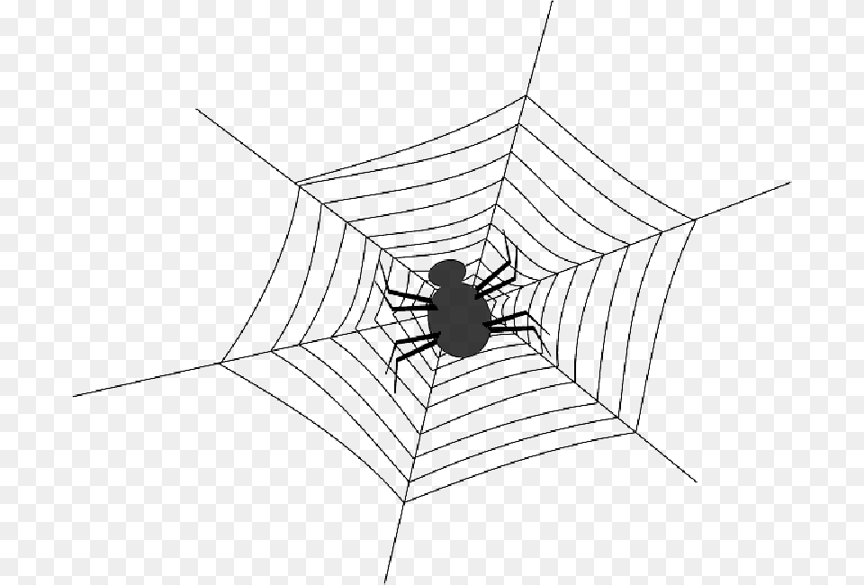 Cobweb Spider Spiderweb Spider S Web Web Net Spider Web With Spider Outlines, Spider Web, Animal, Fish, Sea Life Free Png Download