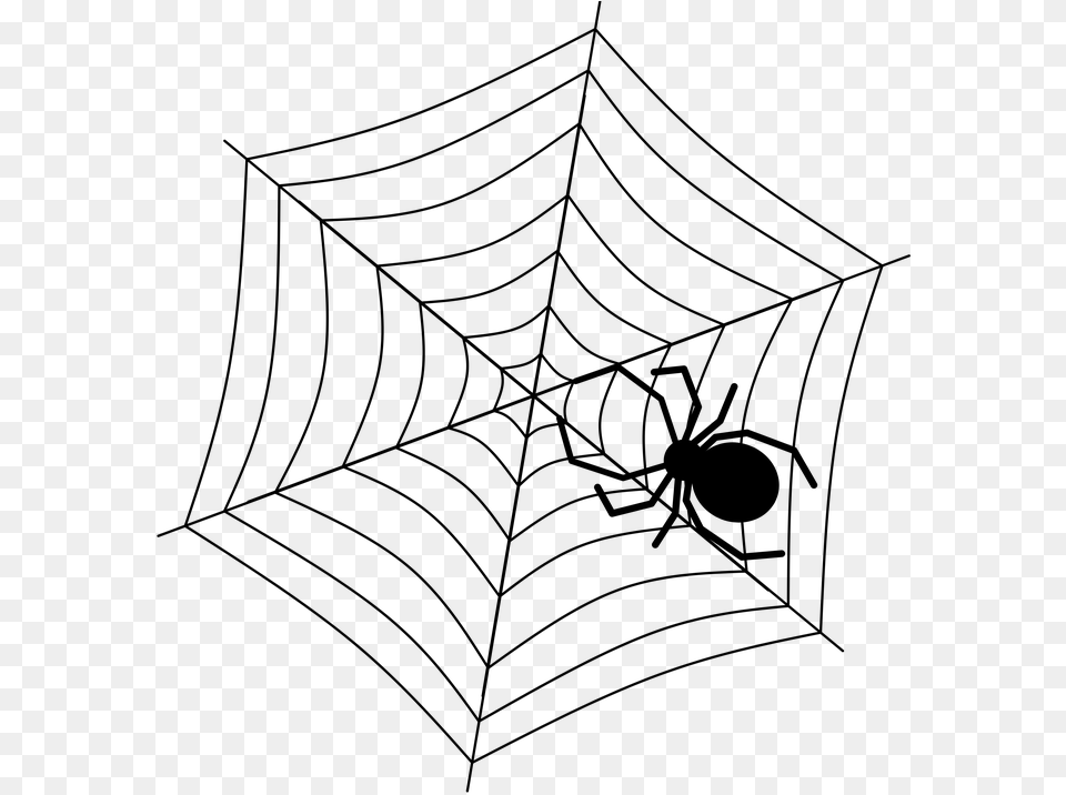 Cobweb Spiderweb Cobweb Net, Gray Png Image
