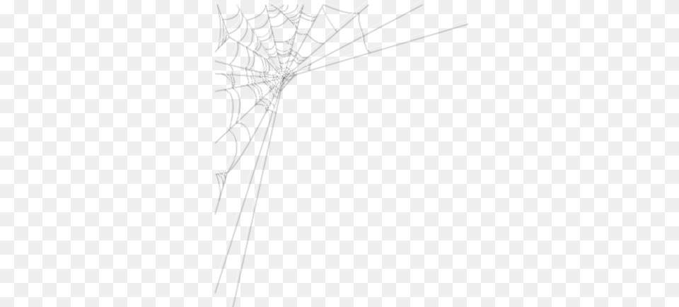 Cobwebs Real Transparent Clipart Spider Web, Spider Web Free Png