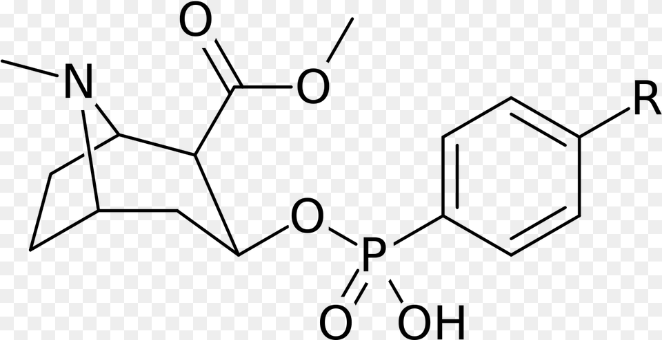 Cocaine Analog Chloramphenicol, Gray Png