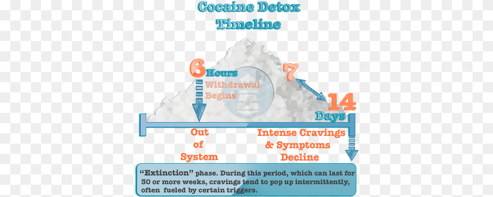 Cocaine Timelinepngpagespeedcejhqsglasit Health All In One Corporate Media, Advertisement, Poster, Nature, Outdoors Free Png Download
