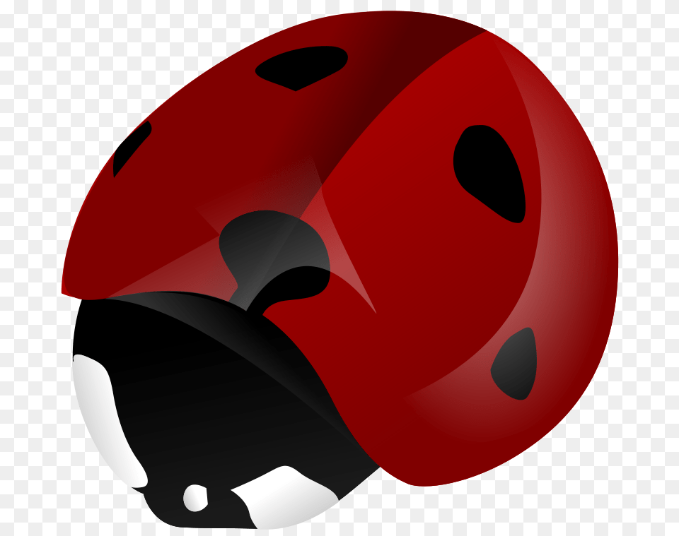 Coccinella, Helmet, Crash Helmet, Dice, Game Png Image