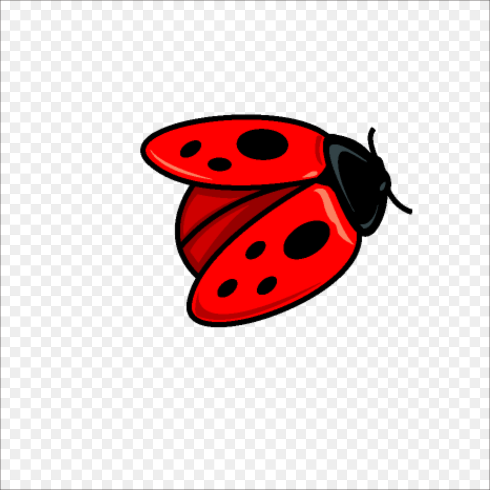 Coccinella Septempunctata Ladybird, Animal Free Png