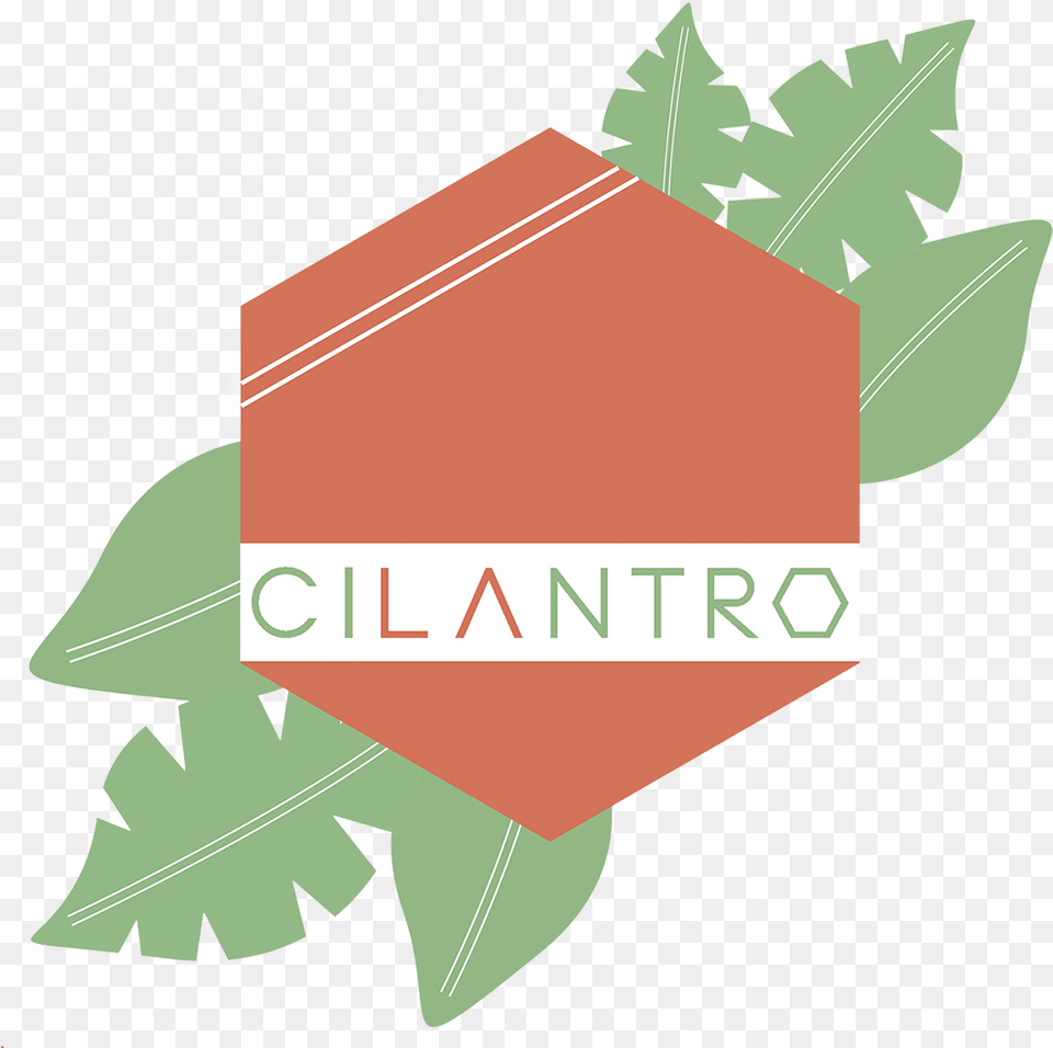 Cocina Cilantro Maple, Leaf, Plant, Sign, Symbol Png Image