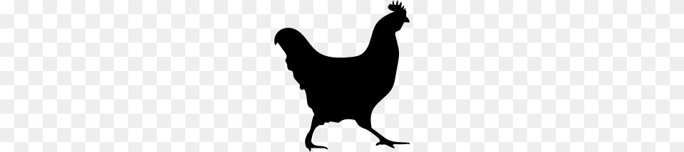 Cock, Gray Free Png