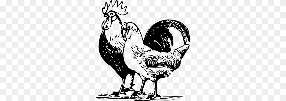 Cock Gray Png Image