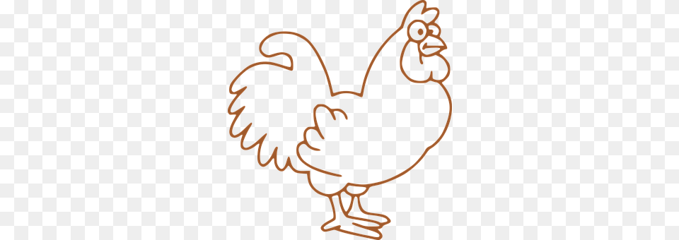 Cock Animal, Bird, Fowl, Poultry Free Transparent Png