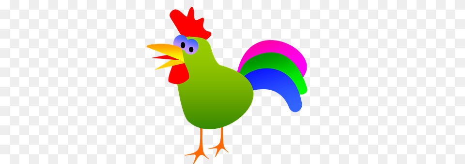 Cock Animal, Bird, Chicken, Fowl Free Png