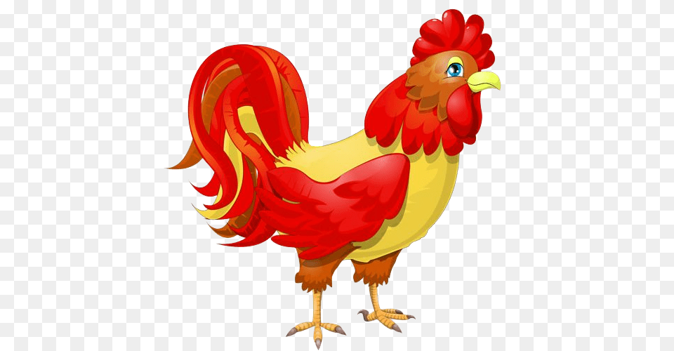 Cock, Animal, Bird, Fowl, Poultry Png Image