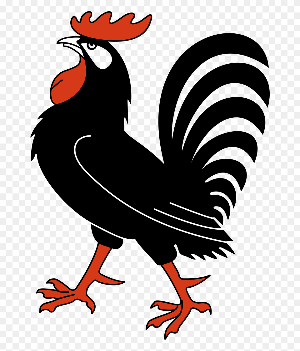 Cock, Animal, Beak, Bird Png Image