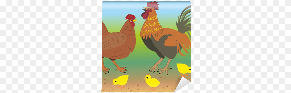 Cock And A Hen Chick, Animal, Bird, Chicken, Fowl Free Transparent Png