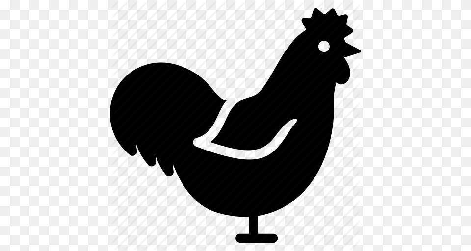 Cock Cockerel Rooster Icon, Animal, Bird, Fowl, Poultry Free Transparent Png