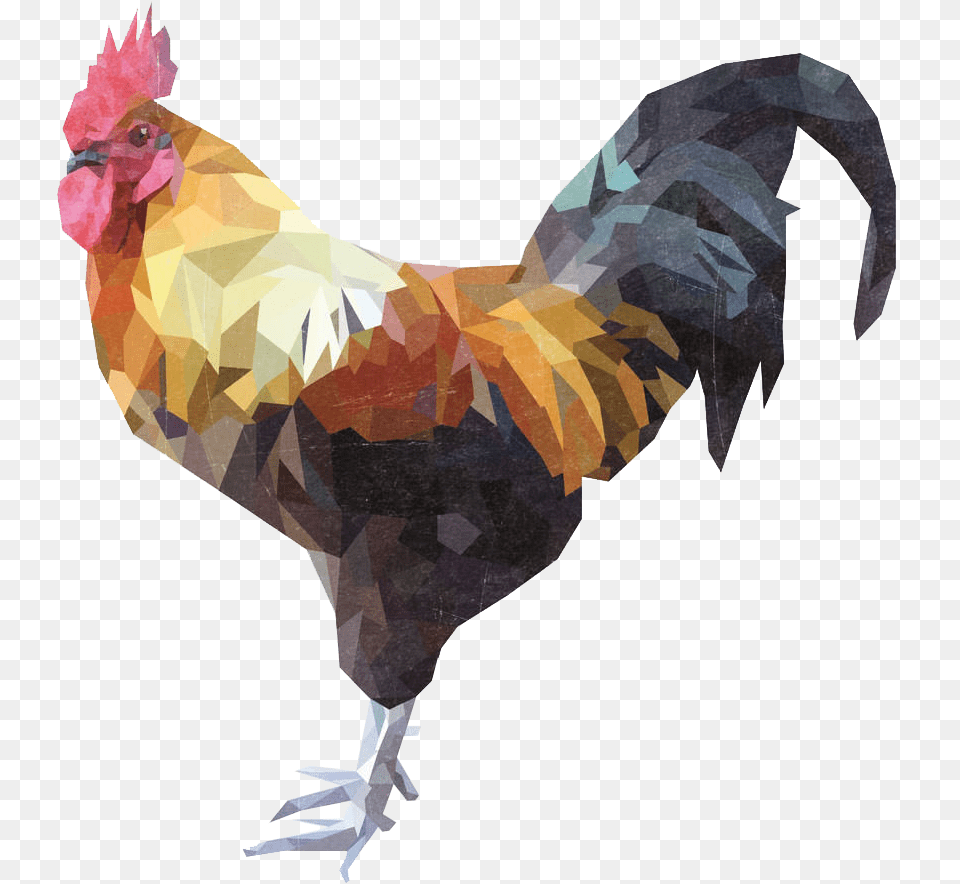 Cock Geometric Shapes Design Inspiration, Animal, Bird, Fowl, Poultry Free Png Download