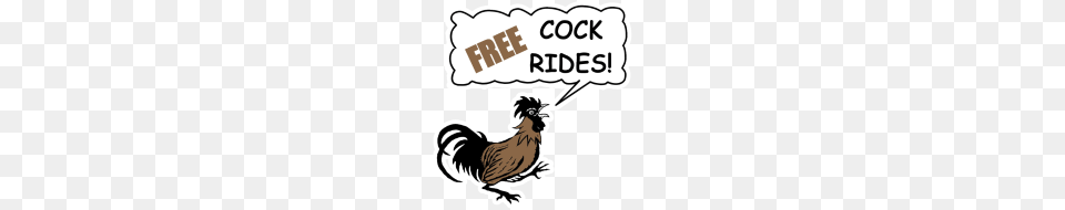 Cock Rides, Baby, Person, Animal, Bird Png