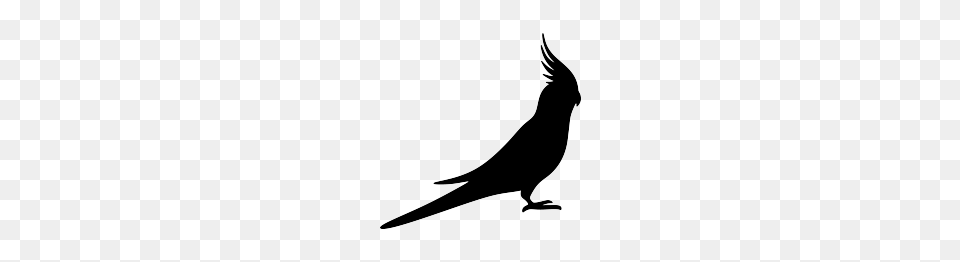 Cockatiel Silhouette Cricut Silhouette Bird, Stencil, Animal Png Image