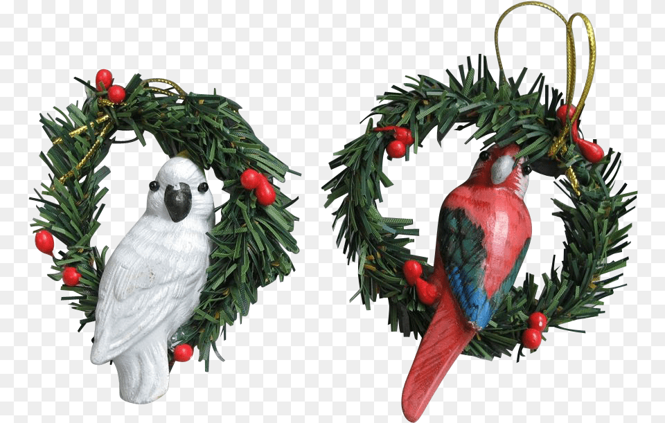 Cockatoo And Macaw Parrot Hand Painted Wood Christmas Christmas Ornament, Plant, Tree, Animal, Bird Free Transparent Png
