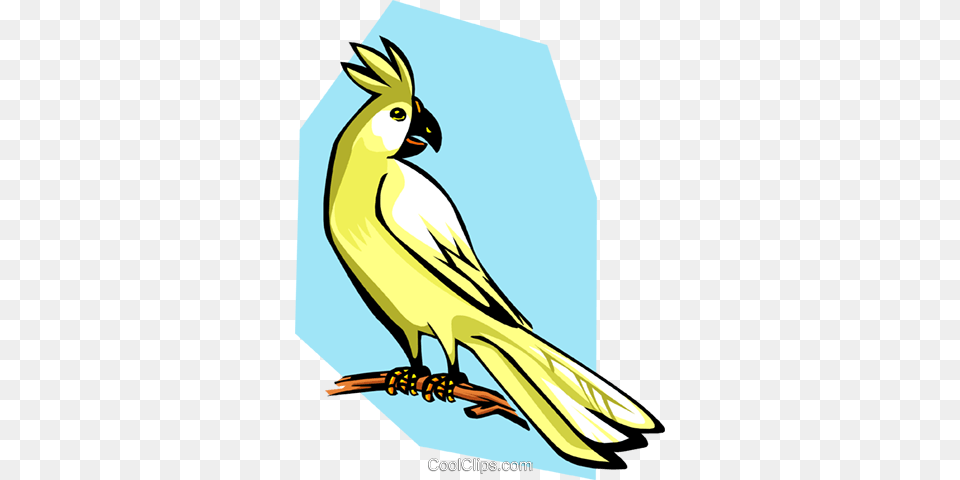 Cockatoo Royalty Vector Clip Art Illustration, Animal, Bird Free Png Download