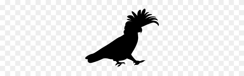 Cockatoo Walking To The Right Sticker, Silhouette, Animal, Bird, Dinosaur Free Transparent Png