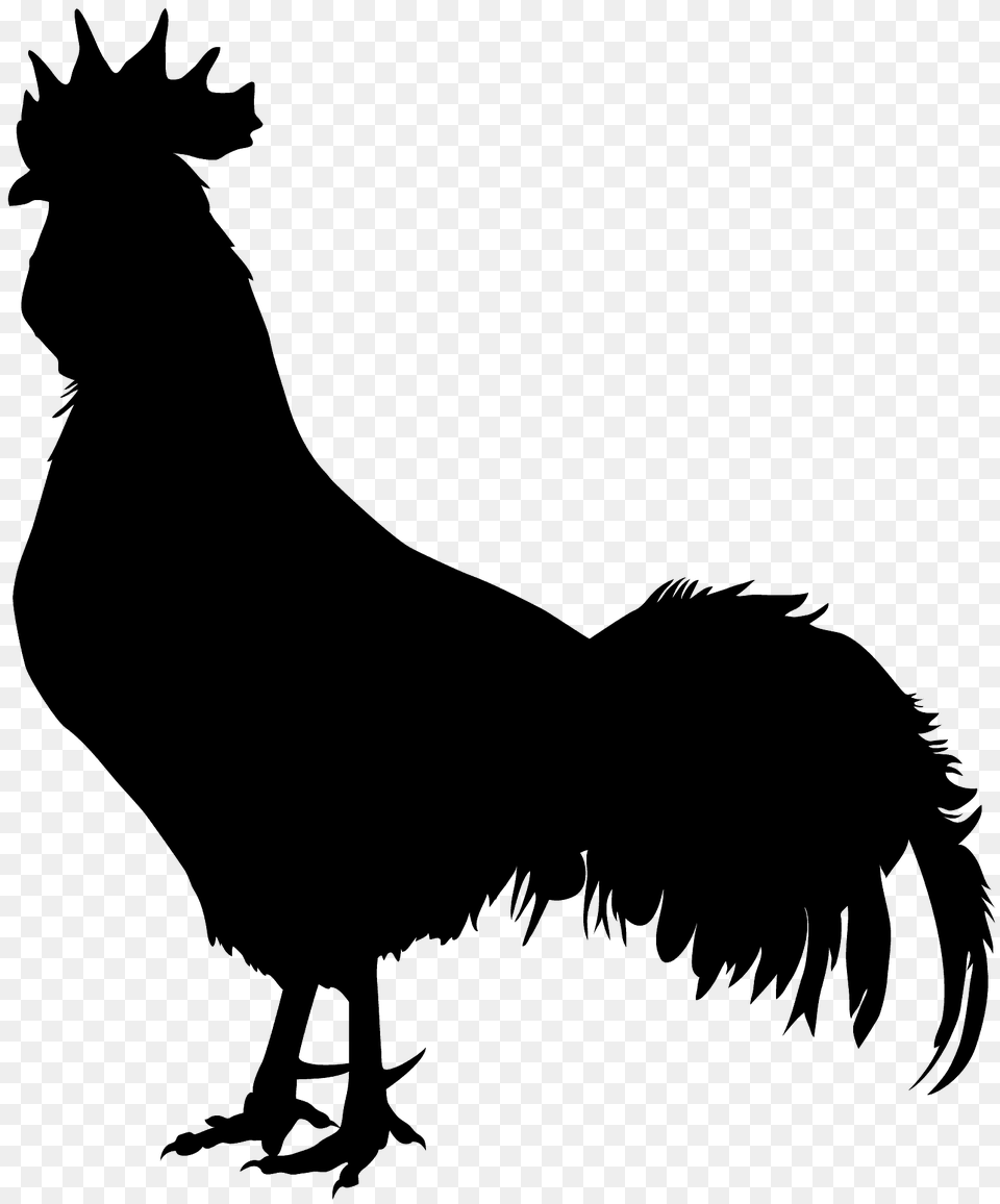 Cockerel Silhouette, Animal, Bird, Fowl, Poultry Png Image