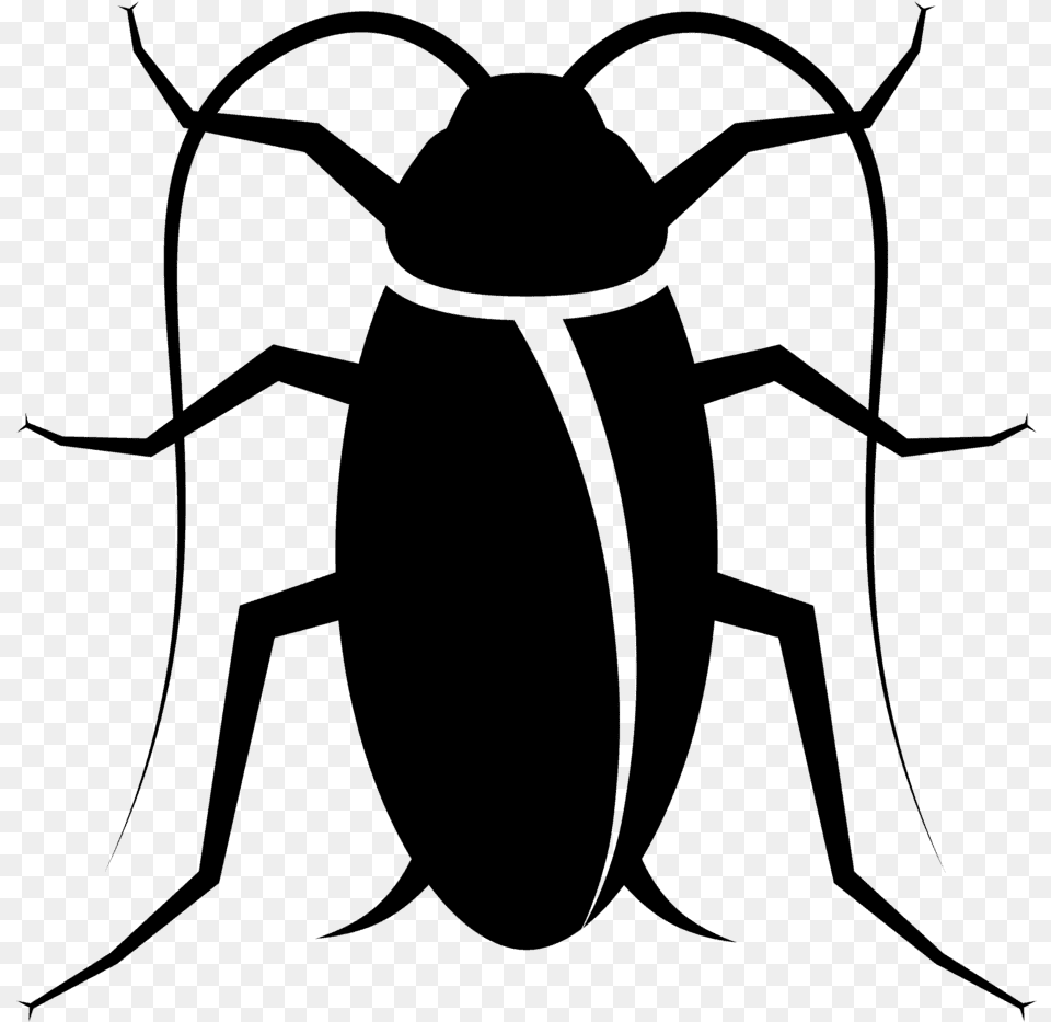 Cockroach Black And White, Gray Free Png