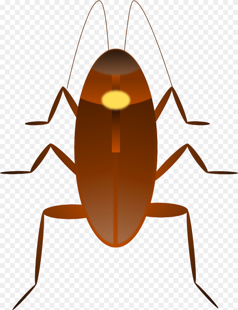 Cockroach Clipart, Animal, Insect, Invertebrate Free Transparent Png